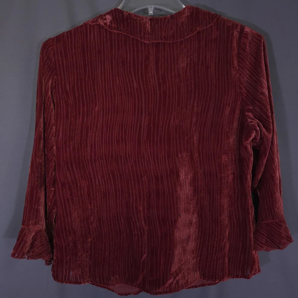 Anne Carson Velvet Burnout  Ruffle Blouse Size Med VTG WhimsiGoth 90s Y2K - Picture 7 of 7